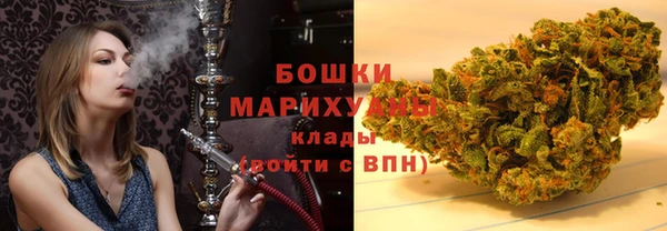 винт Богданович